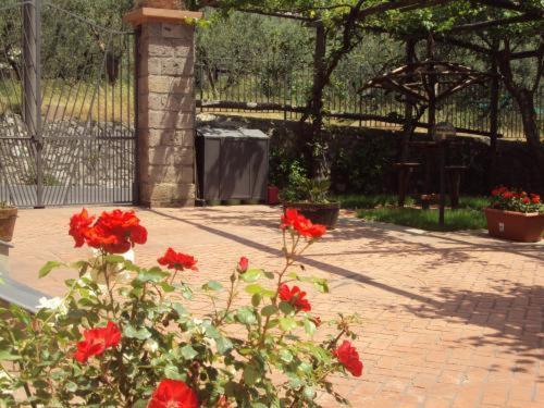 Bellaria Relais Bed & Breakfast Piano di Sorrento Ngoại thất bức ảnh